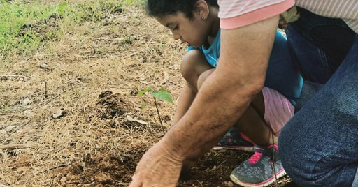 Jornada Nacional de reforestación llega a Azuero