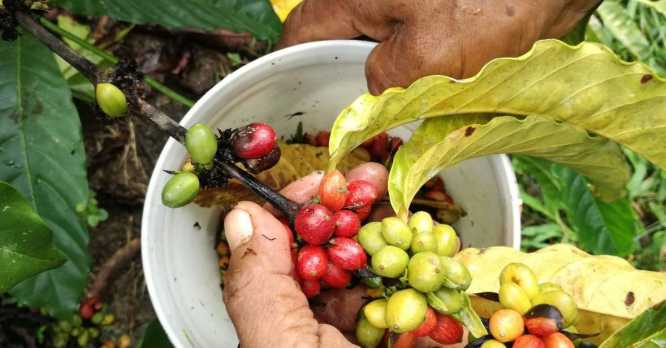 Apoyando la agricultura, generamos progreso