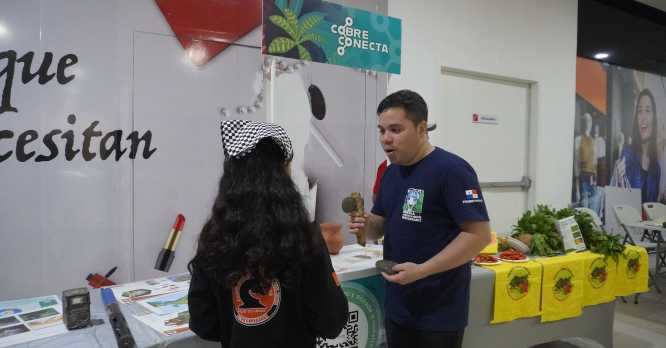 Cobre Conecta con el Ajedrez