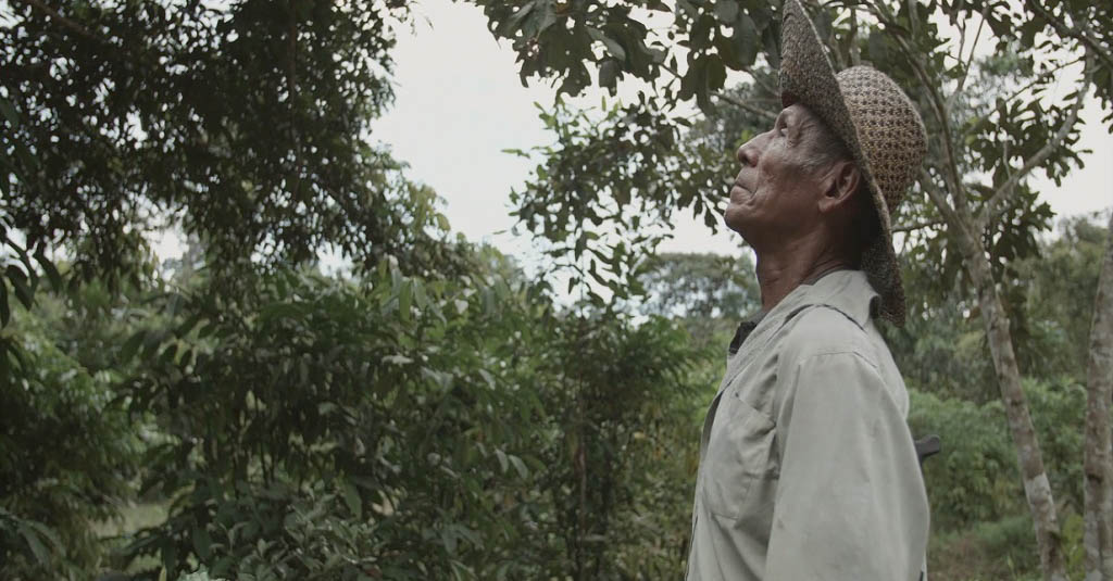 Cambiando esquemas reforestamos Panamá