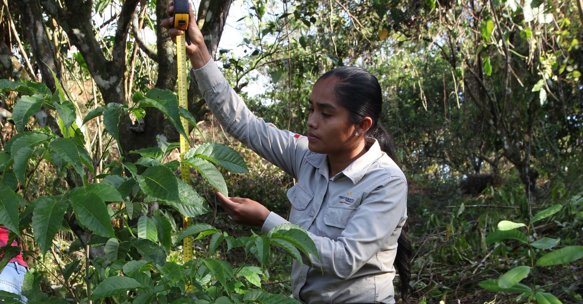 En el Mes de los Recursos Naturales, Cobre Panamá reafirma su compromiso como modelo de minería ambientalmente responsable