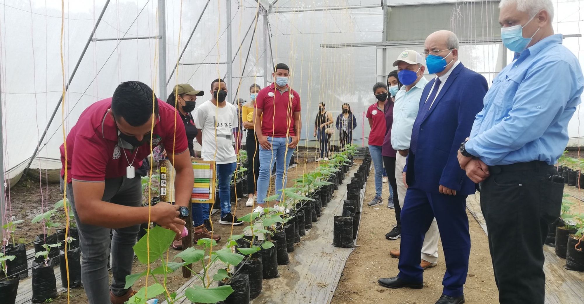 Agricultura sostenible a disposición de estudiantes