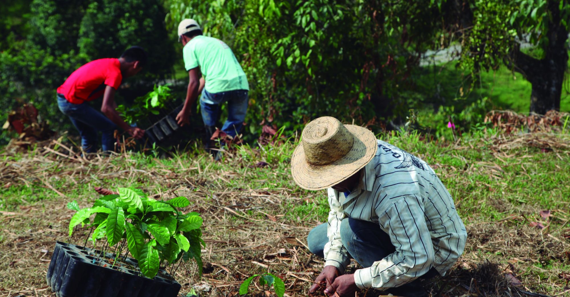 Cobre Panamá, 11 años haciendo minería sostenible