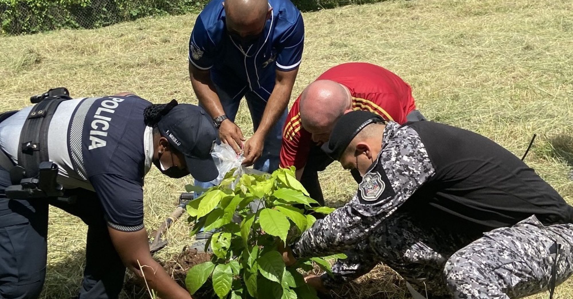 Reforestación de ciudades avanza gracias alianza cívico-privada