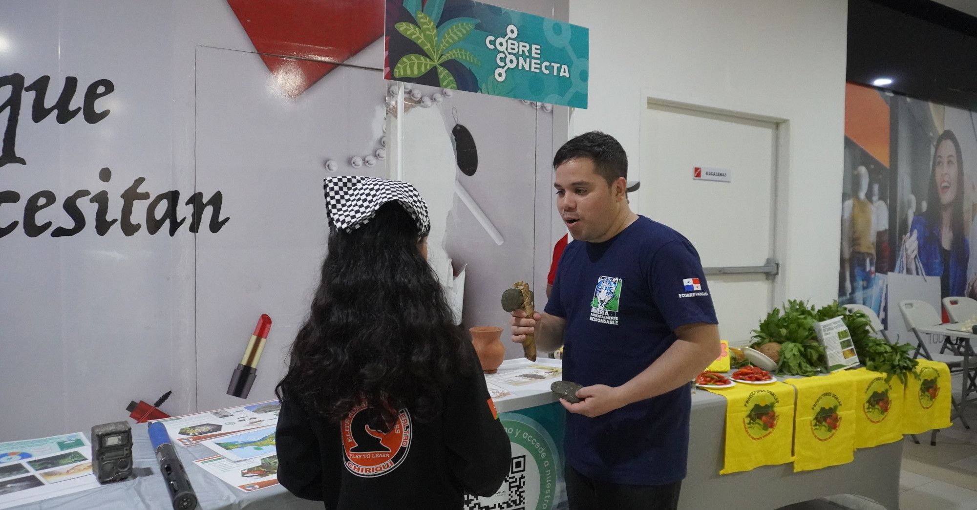 Cobre Conecta con el Ajedrez