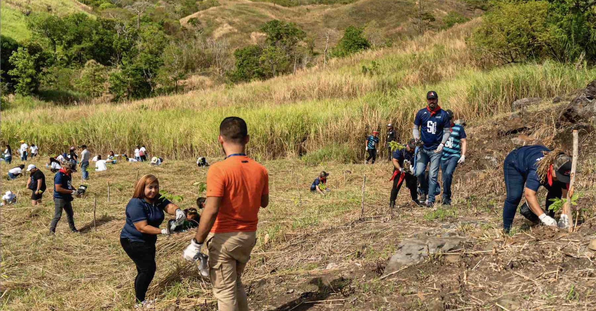 Celebran el Día de la Tierra con reforestaciones en Panamá Pacífico, Vía Panamericana y Metro Park
